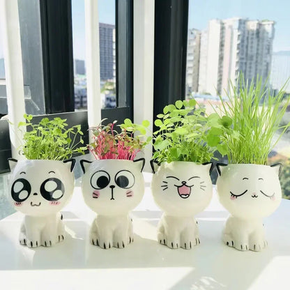 Cat cartoon flower pot