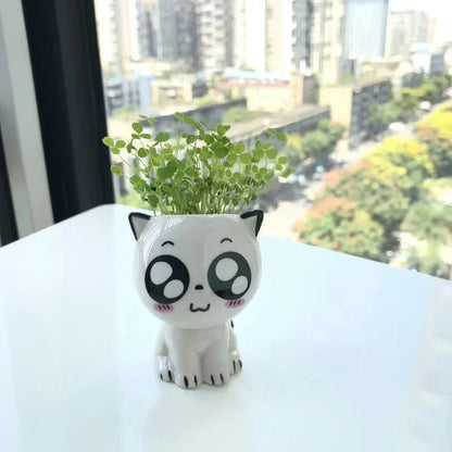 Cat cartoon flower pot