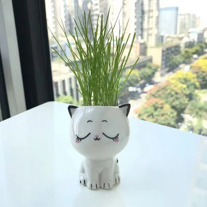 Cat cartoon flower pot