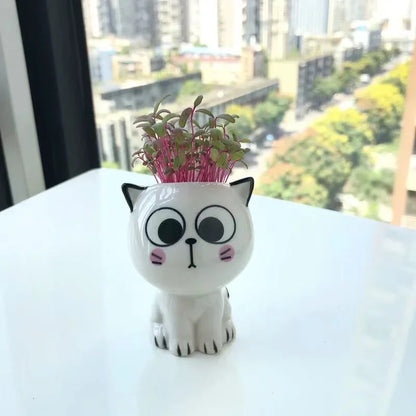 Cat cartoon flower pot