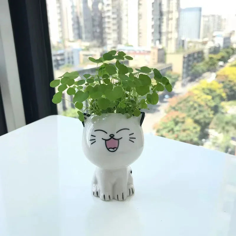 Cat cartoon flower pot