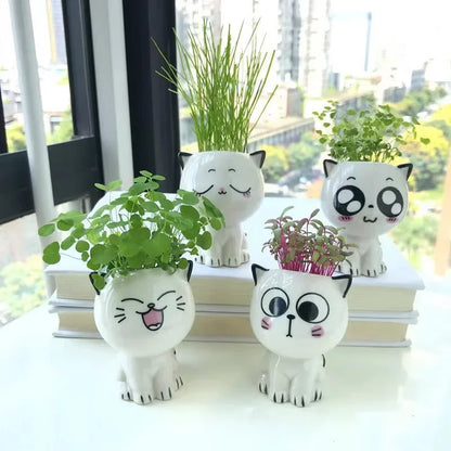 Cat cartoon flower pot