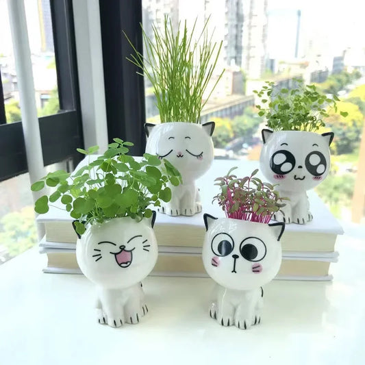 Cat cartoon flower pot