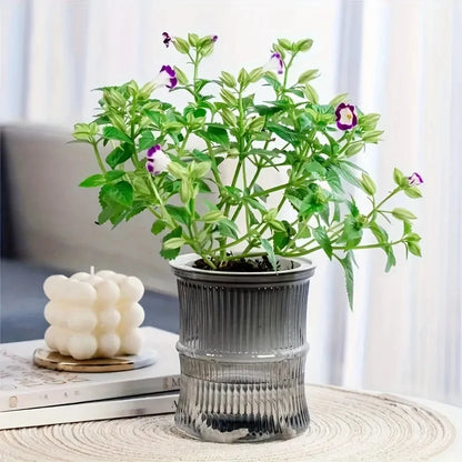 Hydroponic Automatic Water-Absorbing Flowerpot