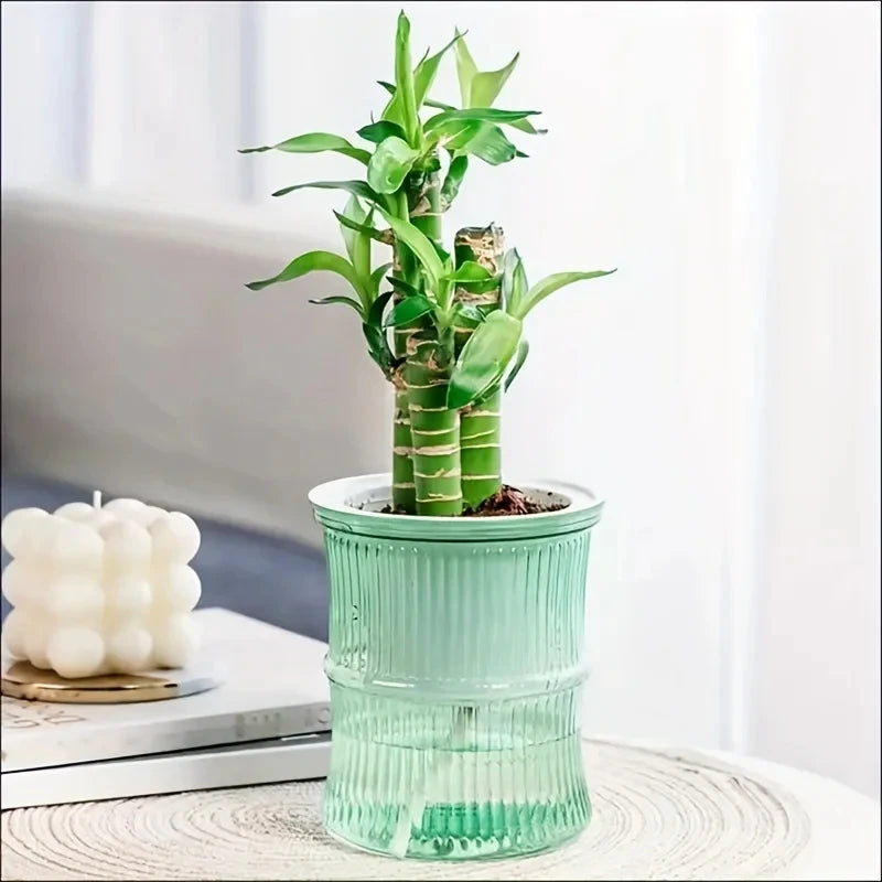 Hydroponic Automatic Water-Absorbing Flowerpot